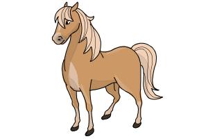 How to Draw a Horse Easy