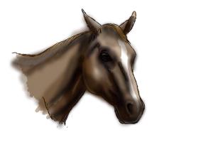 How to Draw a Horse Head