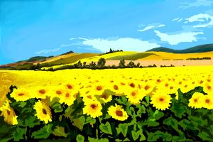 How to Draw a Landscape With Sunflower'S Field