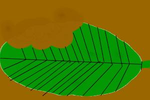 How to Draw a Leaf With Bite Marks