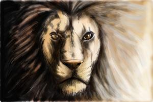 How to Draw a Lion Face