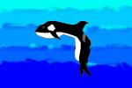 How to Draw a Orca