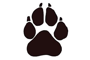 How to Draw a Paw Print