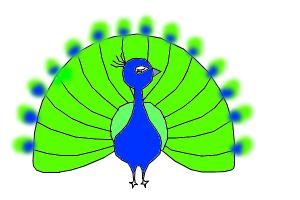 How to Draw a Peacock