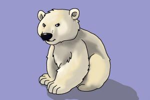 How to Draw a Polar Bear For Kids