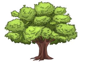 How to Draw a Realistic Tree - DrawingNow How to Draw a Realistic Tree - DrawingNow - 300 x 200 jpeg 12kB