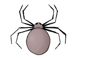 How to Draw a Simple Spider