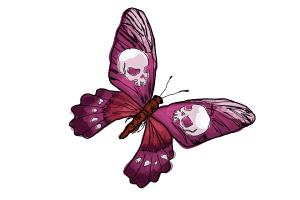 How to Draw a Skull Butterfly