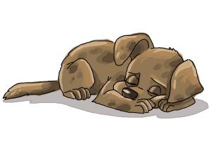 How to Draw a Sleeping Dog