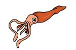 How to Draw a Squid