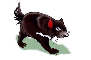 How to Draw a Tasmanian Devil