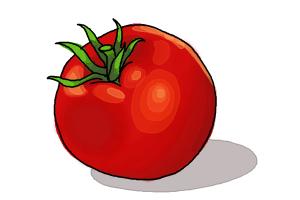 How to Draw a Tomato