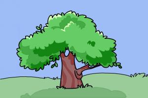 How to Draw Tree Step by Step - Easy Drawings for Kids - DrawingNow