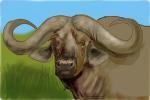 How to Draw a Water Buffalo