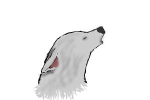 How to Draw a Wolf Howling