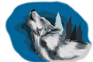 How to Draw a Wolf Howling