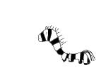 How to Draw a Zebra
