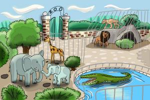 How to Draw a Zoo