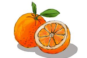 How to Draw an Orange