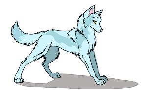 Transparent Baby Wolf Png  Rainbow Wolf Anime Png Download  Transparent  Png Image  PNGitem
