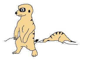 How to Draw Baby Meerkats