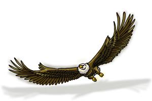 How to Draw Eagle Wings