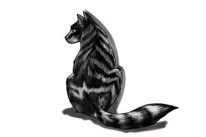 How to Draw Fur
