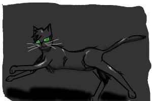 How to Draw Hollyleaf