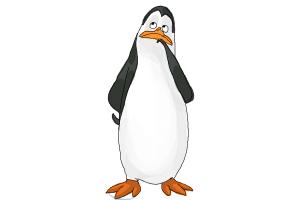 How to Draw Kowalski from The Penguins Of Madagascar