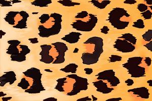 How to Draw Leopard Print