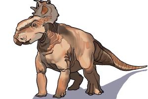 How to Draw Patchi from Walking With Dinosaurs