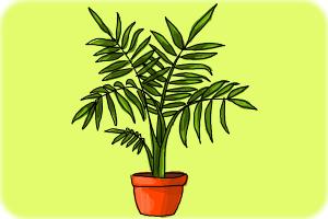 How to Draw Plants