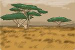 How to Draw Serengeti Migration