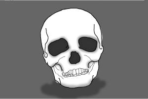 How to Draw Skeleton Head