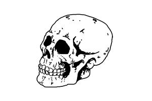 How to Draw Skull by Arijana