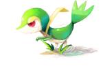 How to Draw Snivy