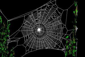 How to Draw Spiders' Web