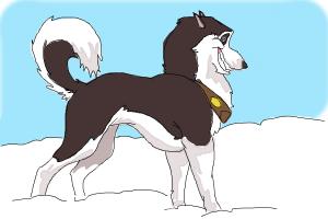 How to Draw Steele from Balto