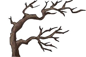 How to Draw Tree Branches - DrawingNow - 300 x 200 jpeg 10kB