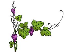 How to Draw a Flower Vine - DrawingNow