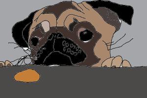 how to makea pug