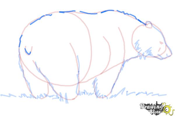 How to Draw a Black Bear - Step 10