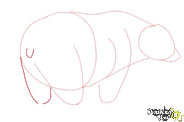 How to Draw a Black Bear - Step 5