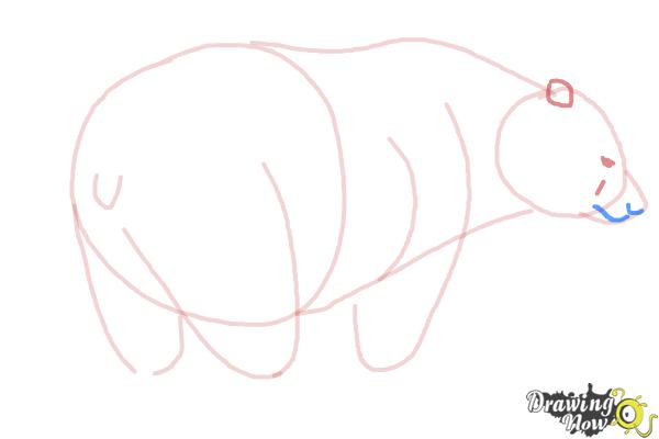 How to Draw a Black Bear - Step 6