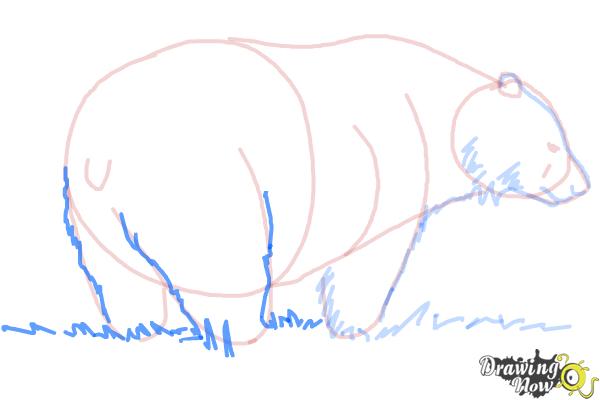 How to Draw a Black Bear - Step 9