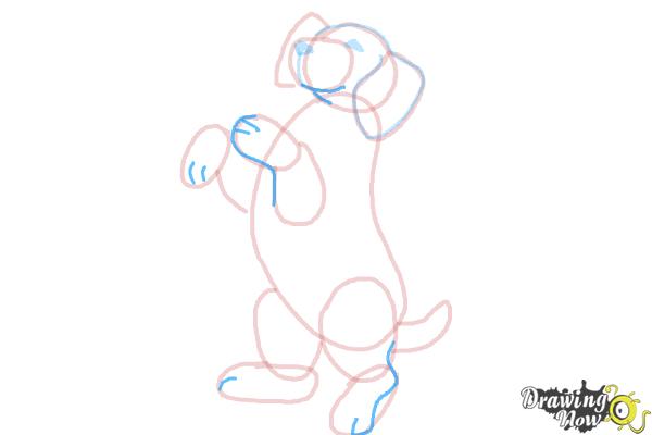 How to Draw a Beagle - Step 10
