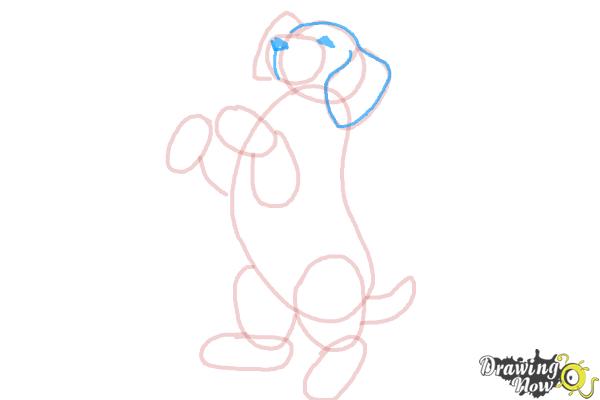 How to Draw a Beagle - Step 9