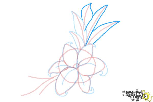How to Draw a Beautiful Flower - Step 10 How to Draw a Beautiful Flower - Step 10