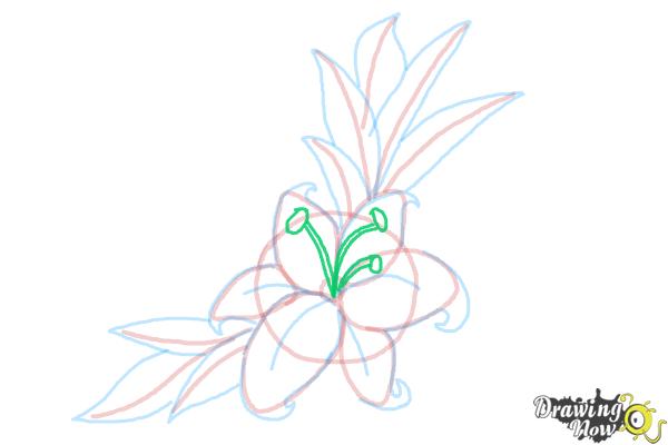 How to Draw a Beautiful Flower - Step 12 How to Draw a Beautiful Flower - Step 12