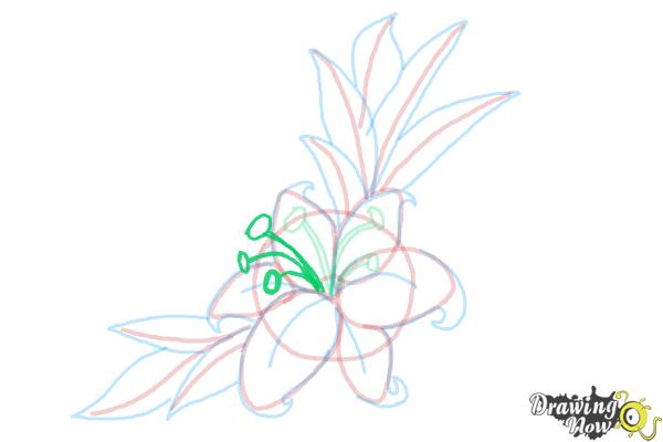 How to Draw a Beautiful Flower - Step 13 How to Draw a Beautiful Flower - Step 13
